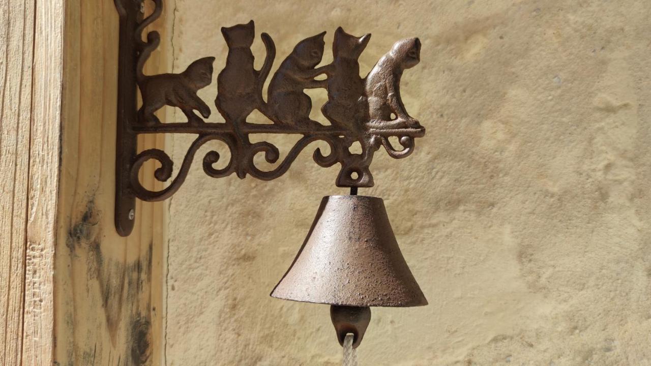Chateau La Mothaye - Self Catering Apartments With Pool In The Loire Valley Les Bois-d'Anjou Esterno foto